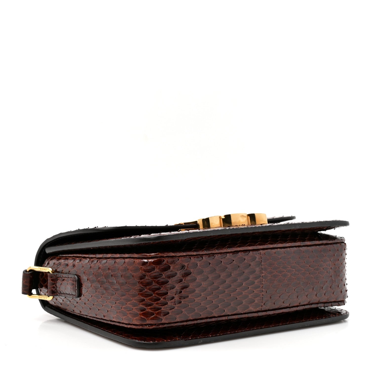 Celine Watersnake Teen Triomphe Brown