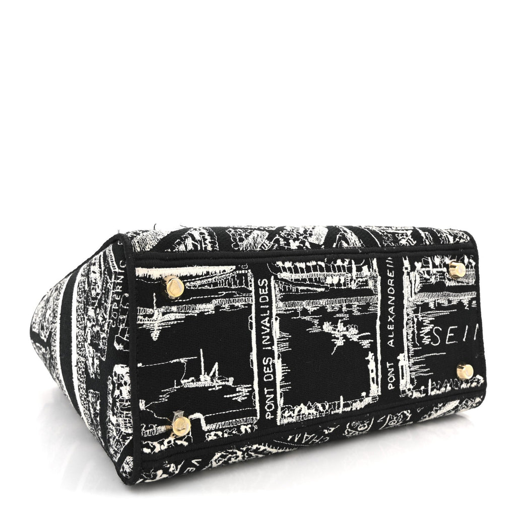 Dior Canvas Embroidered Medium Plan de Paris Lady D-Lite Black White