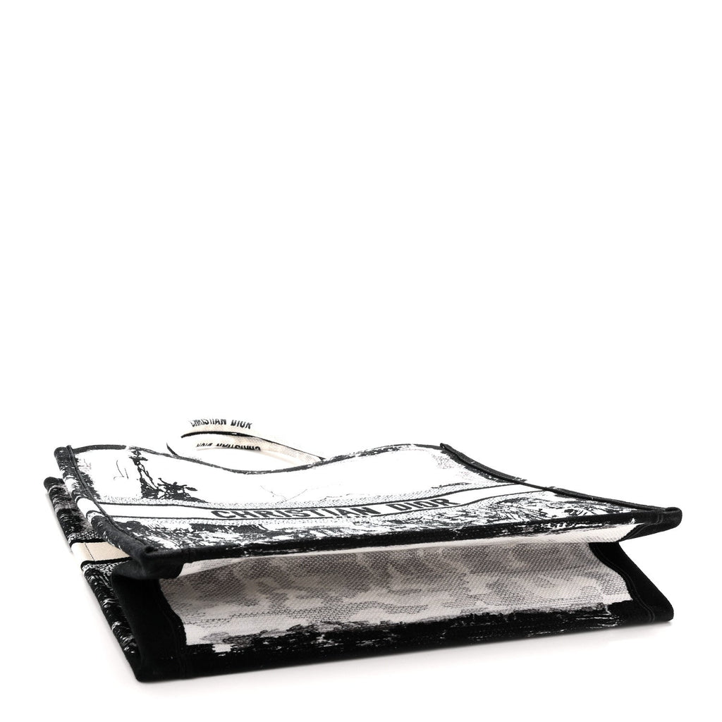 Dior Large New York Book Tote
