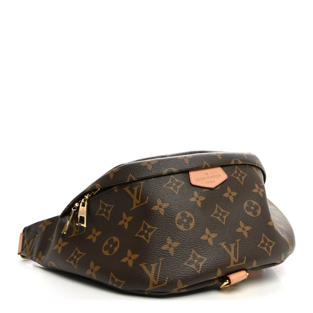 Louis Vuitton Monogram Bumbag
