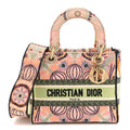 Dior Canvas Embroidered In Lights Medium Lady D-Lite Multicolor