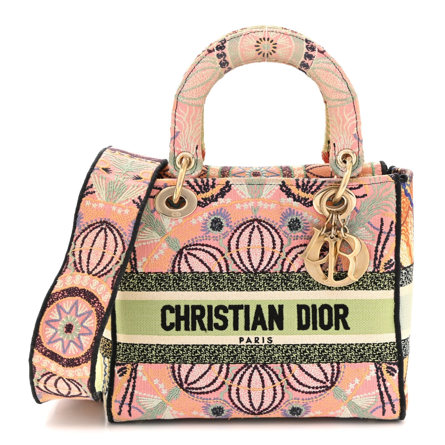 Dior Canvas Embroidered In Lights Medium Lady D-Lite Multicolor
