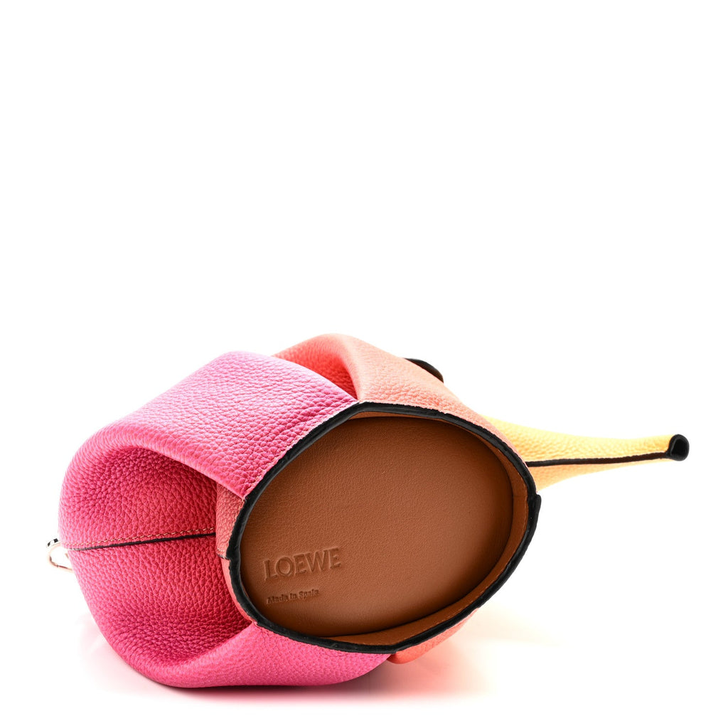 Loewe Calfskin Mini Elephant Crossbody Bag Ombre