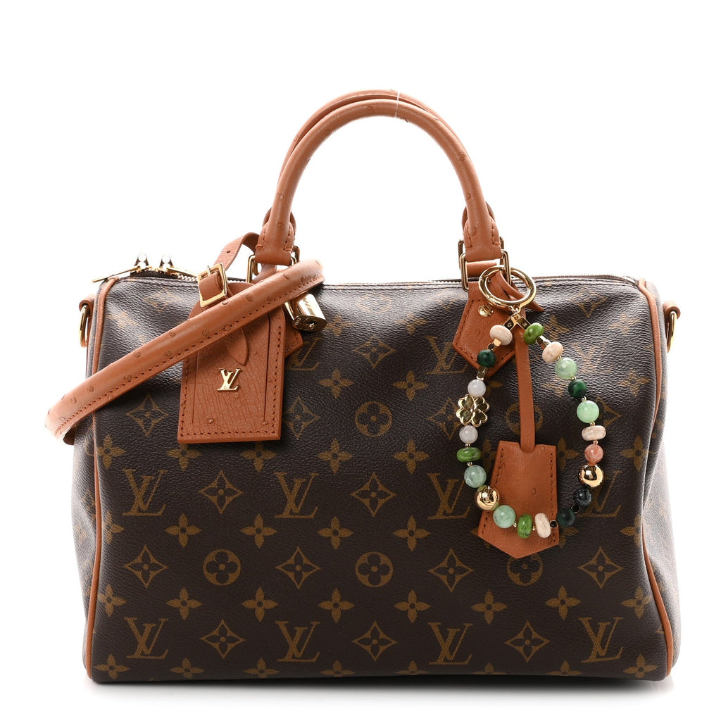 Louis Vuitton Monogram Speedy Soft 30 Boho