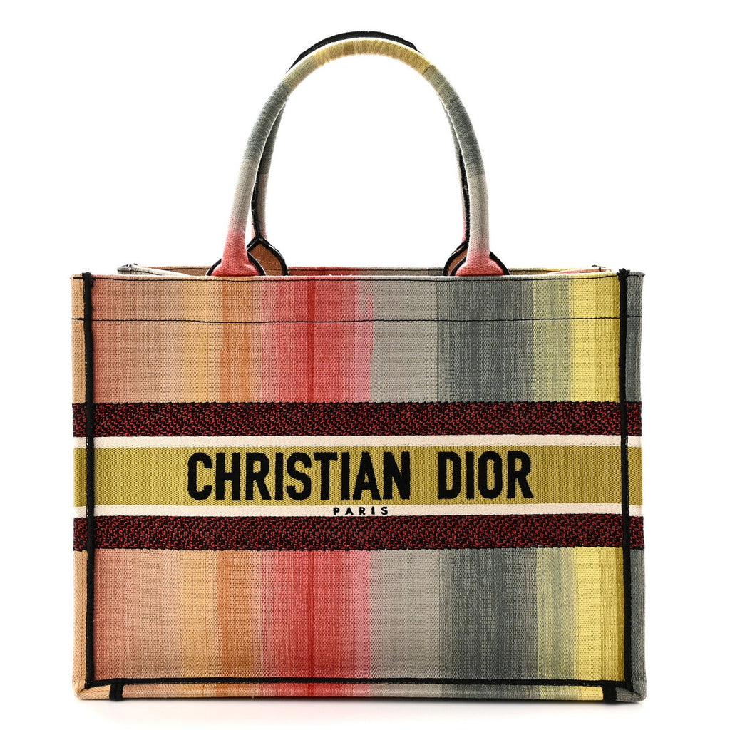 Dior Medium Dioraura Book Tote Multicolor front view