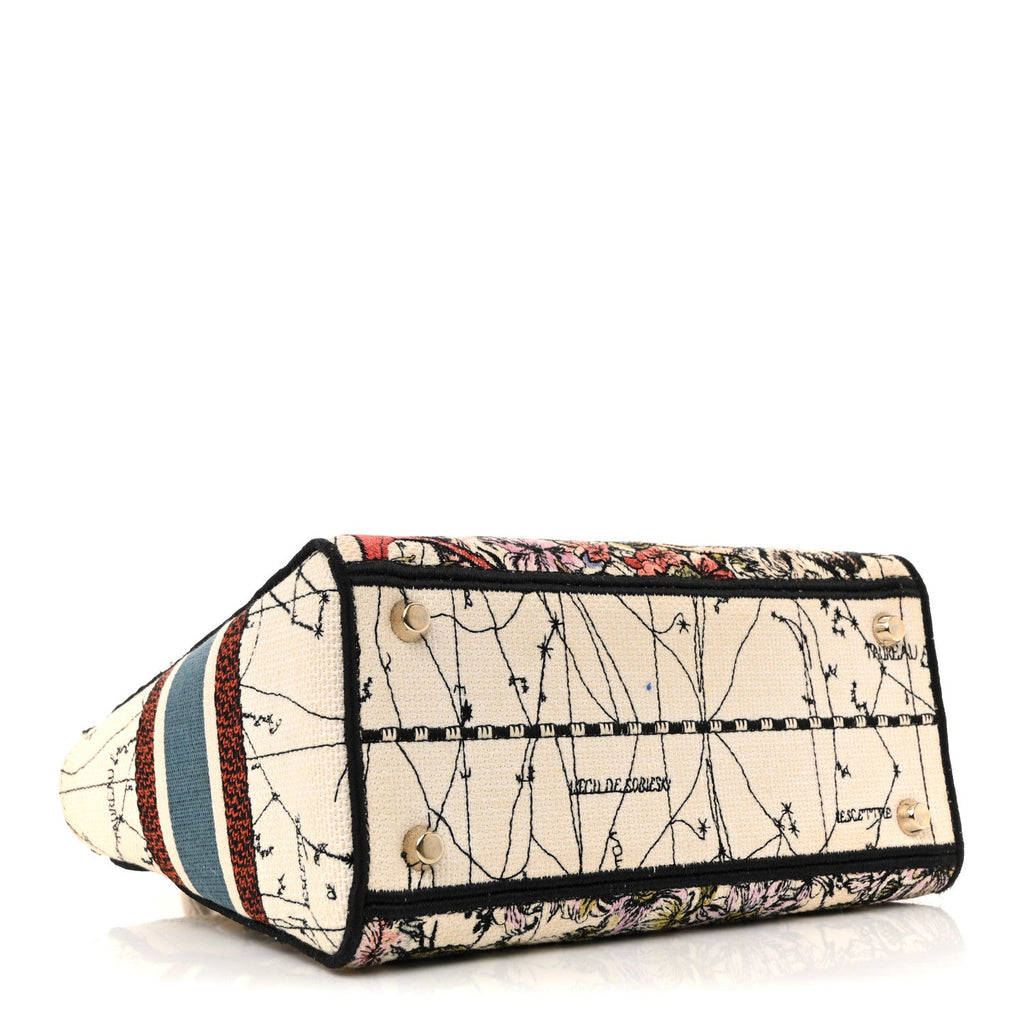 Dior Canvas Constellation Embroidered Medium Lady D-Lite Latte Multicolor
