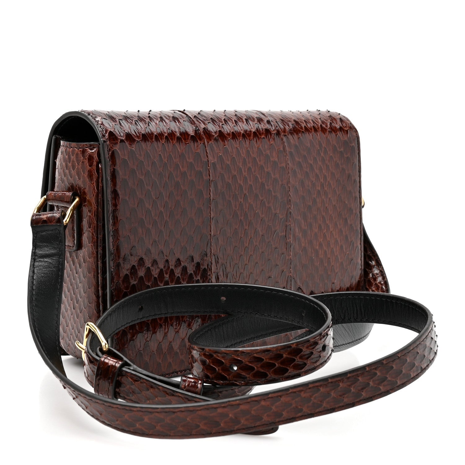 Celine Watersnake Teen Triomphe Brown
